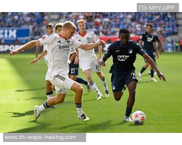 霍芬海姆与法兰克福激战在即谁能在德甲赛场上笑到最后 霍芬海姆与法兰克福激战在即谁能在德甲赛场上笑到最后